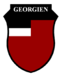 Эмблема Грузинского легиона СС.png