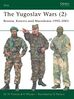 The_Yugoslav_Wars_(2).jpg