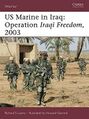 US Marine in Iraq.jpg