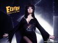 Elvira-elvira-16663670-1024-768.jpg