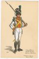 1 полк велитов, 1813.jpg