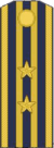Amestris State Military Lieutenant Colonel.png