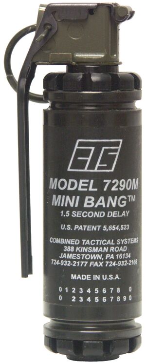 CTS Model 7290M Mini Bang.jpg