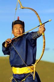 Монгольский-лук.jpg
