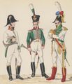 Naples 5th Line Infantry(Real Calabria(Royal Calabrians), Surgeon, Musician & Drum-Major, 1813-15 by H.Boisselier.jpg