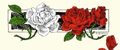 Война Алой и Белой розы.jpg