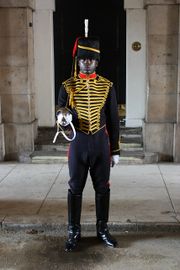 Guard at Horse Guard Parade building - London.jpg