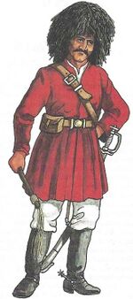 Afghan Regular Army - Herati Cavalryman 1879.jpg