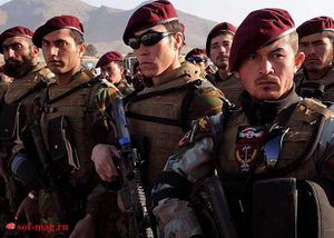 Afghan sp2.jpg