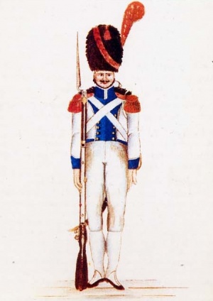 Неаполь гренадер 1 полка 1815.jpg