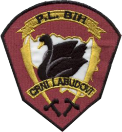 Black Swans (special forces) patch.png