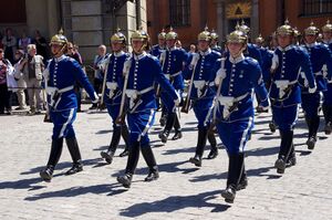 20130525 Stockholm Royal Guard 4223.jpg