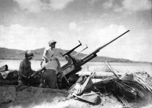 37mm Antiaircraft gun in Solomons.jpg
