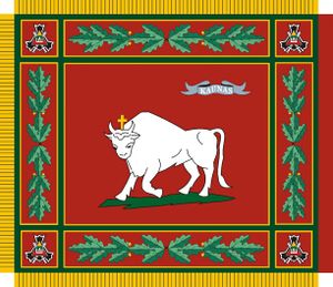 Боевой флаг 2-го территориального отряда Военного округа Дарюс и Гиренас.jpg