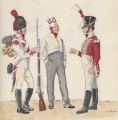 11 полк неаполь 1814 - 1815 гренадер фузилер музыкант.jpg