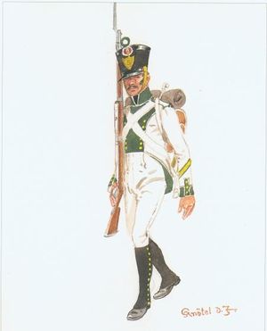 5th Line Infantry Regiment, Fusilier Sergeant, 1813.jpg