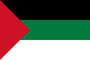 Flag of Hejaz 1917.svg.png
