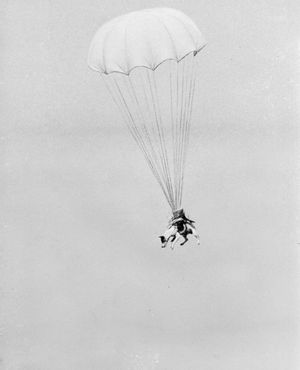 Собака-сапёр высаживается с парашютом 6 июня 1944 года над Нормандией..jpg