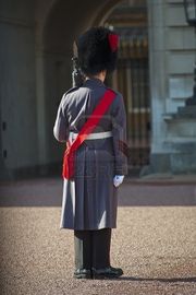 14328196-royal-grenadier-guard-wearing-winter-greatcoat-at-buckingham-palace.jpg