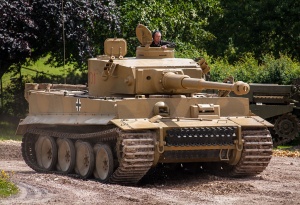 Tiger 131.jpg