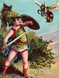 1880's C. W. Bird Fantasy Roman Soldier Bee Insect Hardware Trade Card F102.jpg