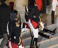 Солдат французского Почетного караула лишился чувств в Елисейском дворце, Париж, 4 ноября 2010.jpg