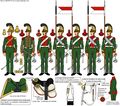 Элитная рота 1-го эскадрона 1-го полка шеволежер-улан, 1815 г.jpeg