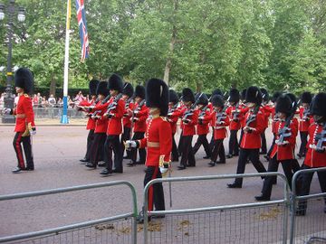 Trooping the Colour 2009 052.jpg