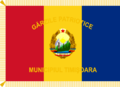 800px-Flag of Patriotic Guards of Romania (1977-1989, reverse).svg.png