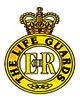Life-Guards badge.jpg