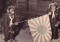 Обезьянки в форме японских моряков с флагом Японии, Вторая мировая война.jpg