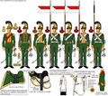 Элитная рота 2-го полка шеволежер-улан 1815.jpeg
