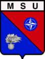 MSU logo 2013.png