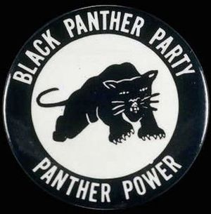 BlackPantherParty1.jpg