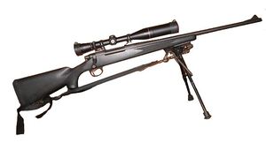 Remington Model 700.JPG.jpg