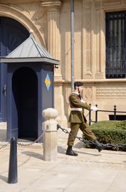 Guard Grand Ducal Palace Luxembourg (by Pudelek).jpg