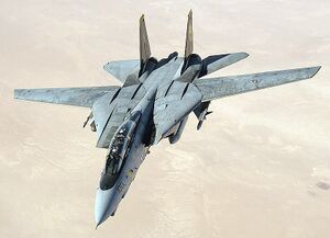 F-14D Tomcat in the Persian Gulf.jpg