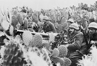 Итальянские артиллеристы на позиции в зарослях кактусов у 47-мм противотанковой пушки Cannone da 4732 M35. Тунис, 1943 год.jpg