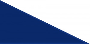 Sikh Akali flag.jpg