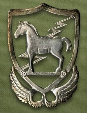 10-я группа ССО США Троянский конь.jpg
