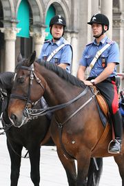 Carabinieri a cavallo.jpg