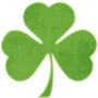 Clover Shamrock PNG Picture.png