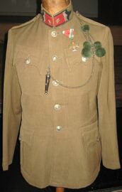 13 zormester magas galler zubbony sergeant high collar tunic.jpg