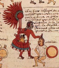 Codex-Mendoza-Rank-5-Priest-Five-Captive-Momoyactli.jpeg