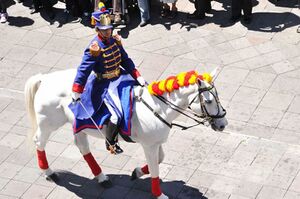 Changing-guard-ceremony-horse.jpg