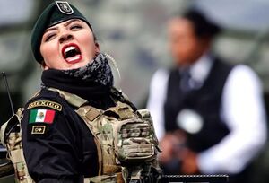 A member of the Mexican Armed Forces takes part in a military parade, 17 сентября 2018.jpg