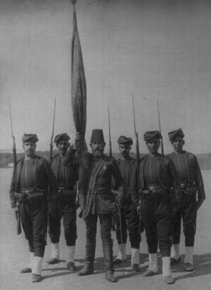 The Standard Bearer and Guards of the Regiment of Zouaves of the Imperial Guard.jpg