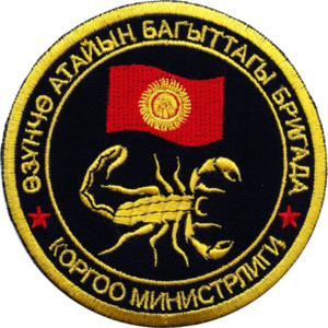 25th Special Forces Brigade SSI.png