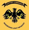 Rhodesian light Infantry support commando.jpg