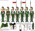 Центральная рота рота 3-го полка шеволежер-улан 1815.jpeg